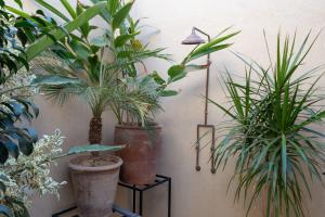 Inara Camp - Villa Aromi