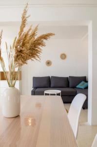 Villa Solera 3 etoiles, jardin, 30m plage