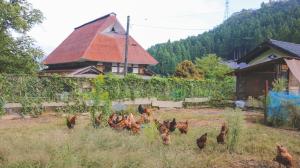 1日1組限定 体験型古民家宿"ハレハレ" 超新鮮卵かけご飯付き-自給自足を営む若夫婦がセルフビルドした宿- 平飼い卵の収穫と五右衛門風呂沸かし体験付き