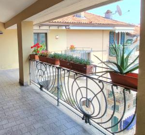 Bergamo Central Living