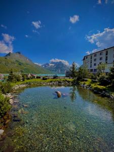 Berggasthof Piz Buin