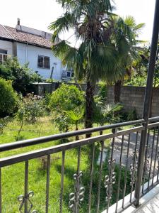 Shkodra Green Heart