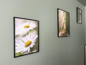 LÉchappée Verte - appartement 1 chambre