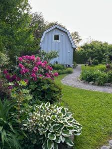 Dalsäter Kolmården