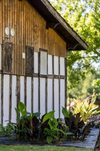 Maisons de vacances Elite : photos des chambres