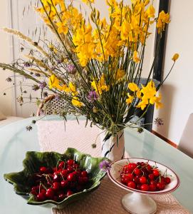 Maison avec piscine en Drome provençale