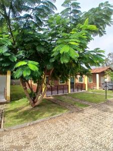 Aconchegante Casa em Gravatá - Casa 10