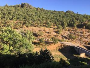 Appartements Les Studios de la Tour - Le Tournesol : photos des chambres