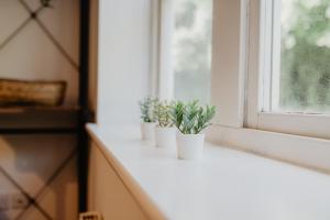 4 Clovelly Court, Derby, DE22 1GS