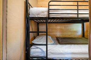 Campings Lodge 3 - Domaine Des Landes : photos des chambres