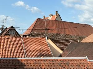 Appartements Le Tokay : photos des chambres