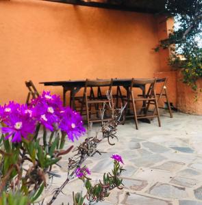 La pavoncella holiday house