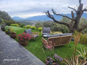Appartements Bas de villa aux portes d-Ajaccio : Appartement 1 Chambre