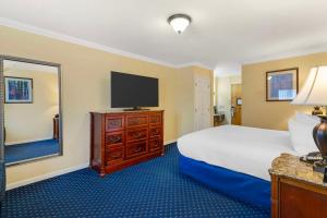King Room - Pet Friendly/Non-Smoking room in Best Western White House Inn