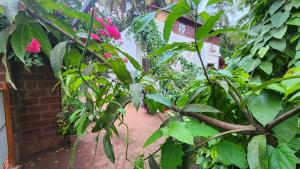 Bhatye Beach Resort Rejunuvation