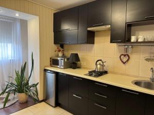 One-Bedroom Apartment in the center