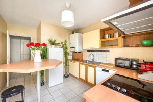 Appartements BnGo I Immense Terrasses I 3 chambres, garage, 9 pers : photos des chambres