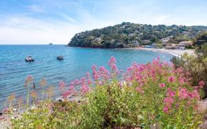 Maisons de vacances Charming fisherman-s house in Fabregas : photos des chambres