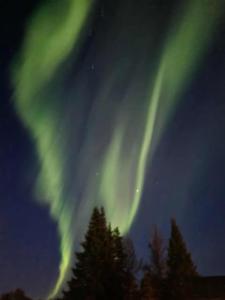 Fjällnära Villa i Vidsel