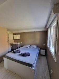 Appartements loft T2 Parking et Jardin prive : photos des chambres