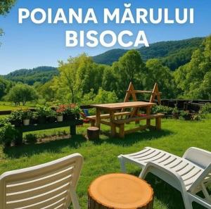 Pensiunea Poiana Marului - Bisoca
