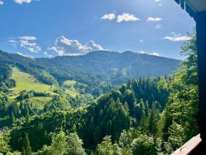 Alpendomizil 2 - Mühlbachblick (A5)