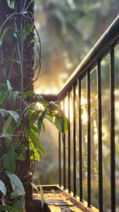 Bhatye Beach Resort Retreat