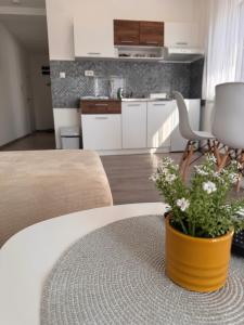 Nest apartman
