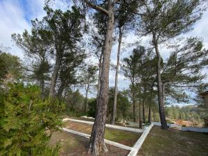 large swimming pool, 9 berths