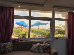 شاليه ثلاث غرف ارضي بحديقة علي بحر مباشر في معمورة الشاطئ الإسكندرية