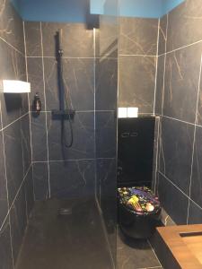 Hotels Hotel les 4 elements : photos des chambres