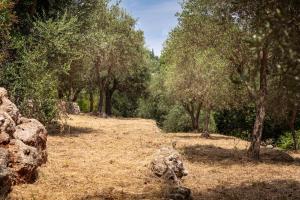 Villas Les Oliviers de Jean Mi : photos des chambres