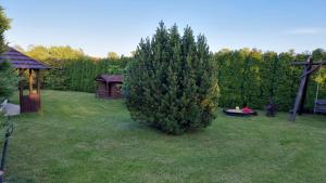 Apartament na Górce