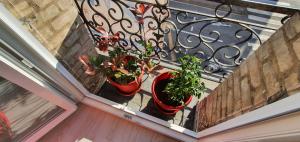 Appartements Ocean Blue, centre ville, proche plage : photos des chambres