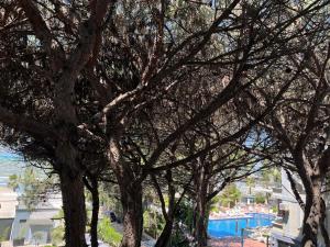 Sea View Studio Apartment, Golem, Mali i Robit