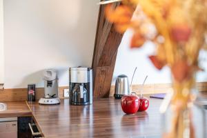 Appartements Grand T4 avec terrasse & parking Les Vieux Toits de Riquewihr : photos des chambres