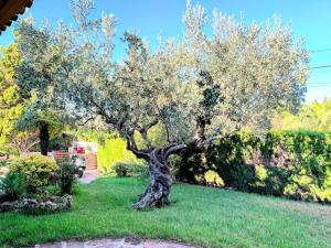 Villa Sigalero con piscina privada en Benicasim