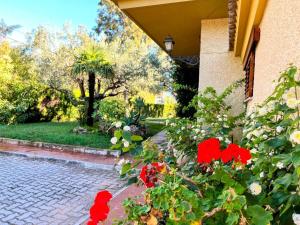 Villa Sigalero con piscina privada en Benicasim