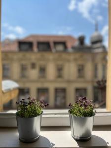 Modern stúdió a Belváros közepén parkolóval- Kata stúdióapartman