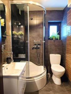 W sercu Małych Pienin - apartament