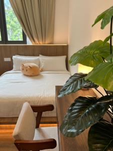 2-8pax Ipoh Nomado Onsen suites by Sunway Onsen Lost world of Tambun