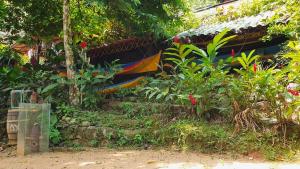 1500 metros quadrados na beira da praia