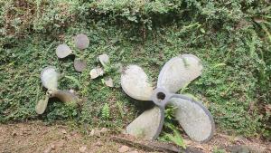 1500 metros quadrados na beira da praia