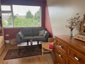 Big Family House Central Dublin