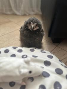 Przystanek Podgórze