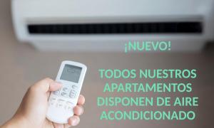 Mayor 17 Apartamento 2