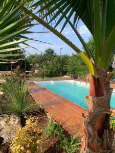 Maisons d'hotes Villa la quietude : Studio - Vue sur Piscine 