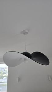 Sea Spray Palanga Sermiesčio 28