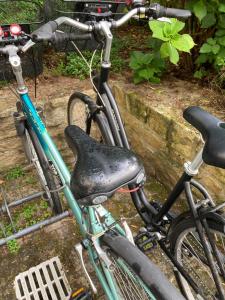 Aurénoë à Carnac Plage