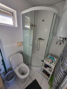 Domek letniskowy nad Wkrą